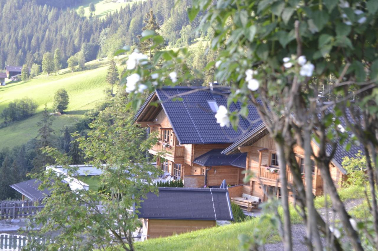 Bergseegut Chalet Und Apartment Wagrain Dış mekan fotoğraf